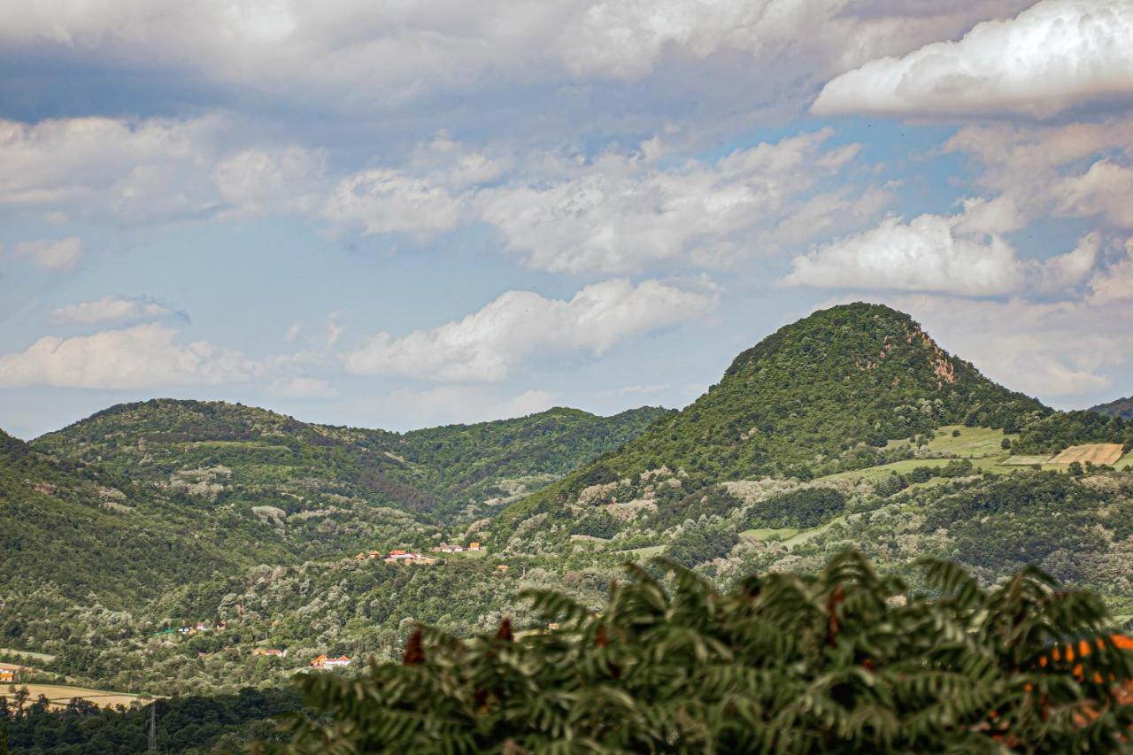 Apartmani LUNIJA Gornji Milanovac Bagian luar foto