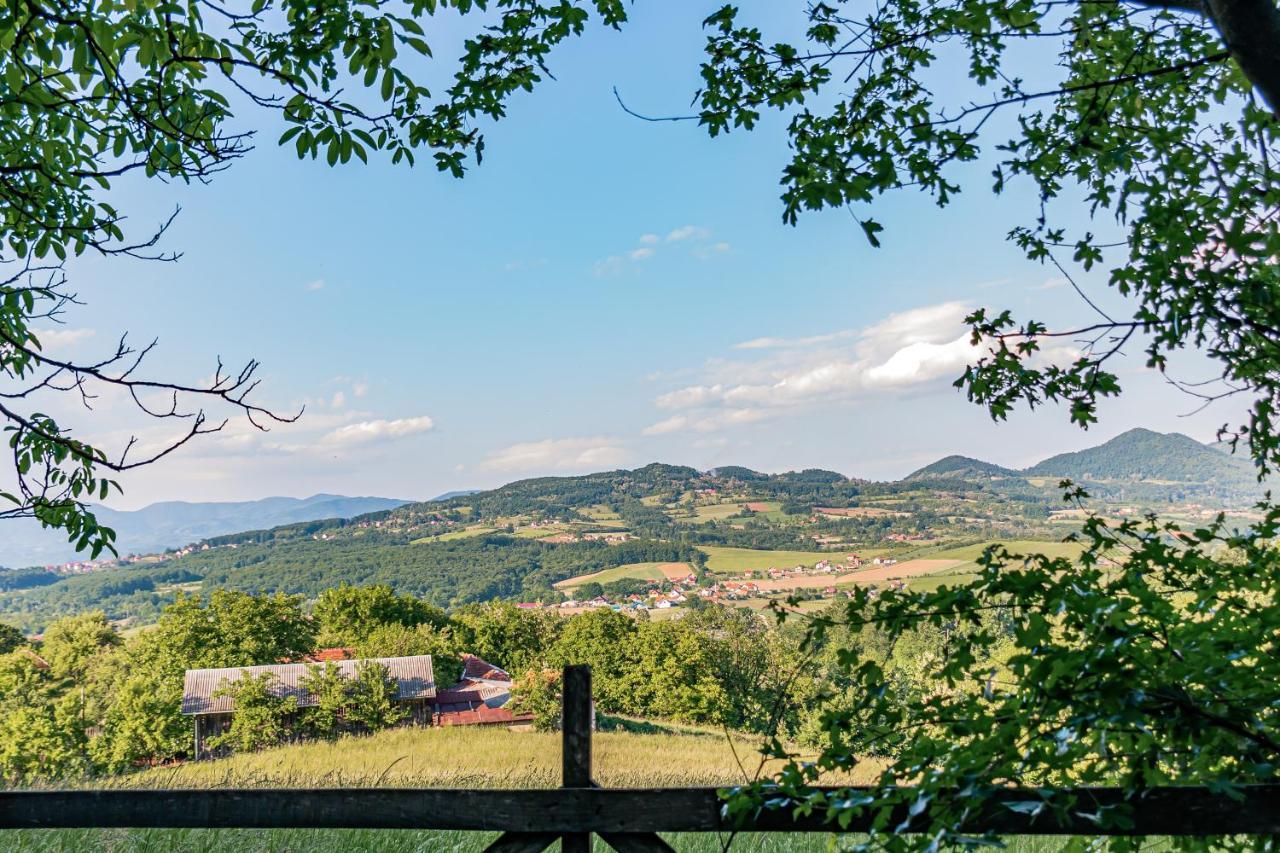 Apartmani LUNIJA Gornji Milanovac Bagian luar foto