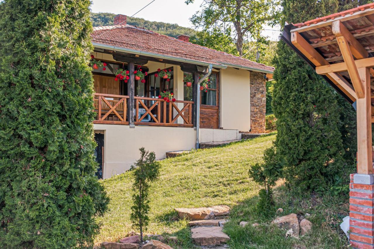 Apartmani LUNIJA Gornji Milanovac Bagian luar foto