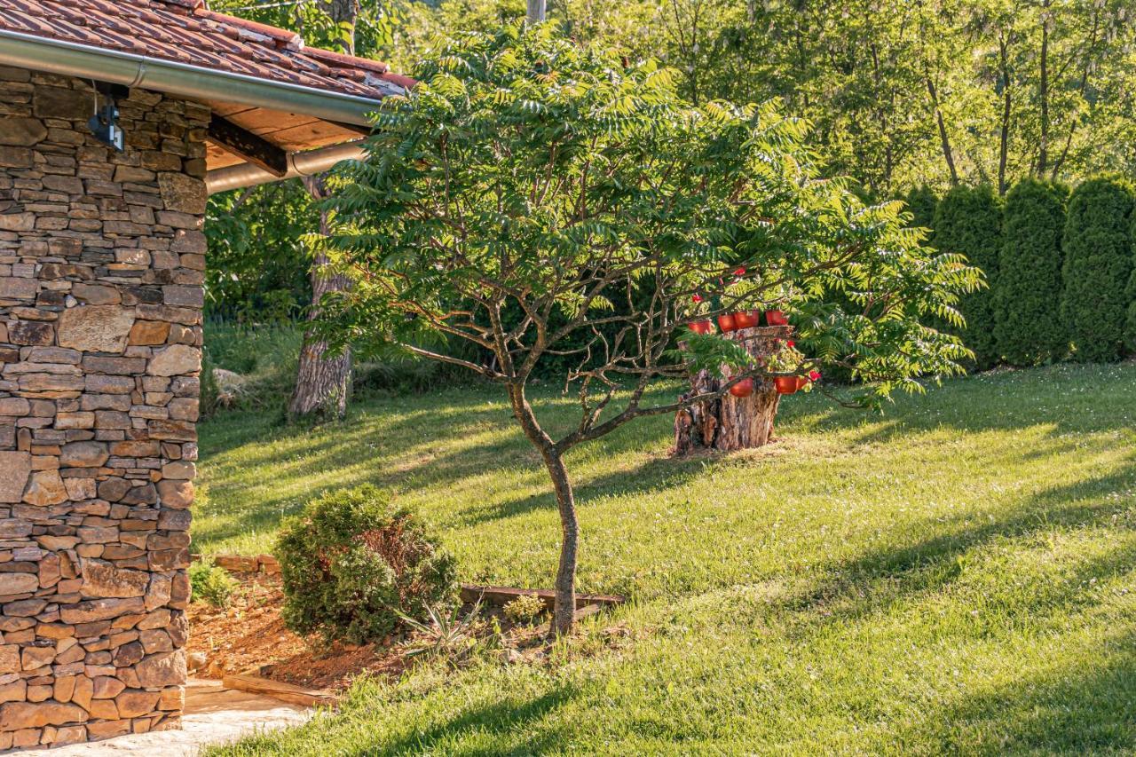 Apartmani LUNIJA Gornji Milanovac Bagian luar foto