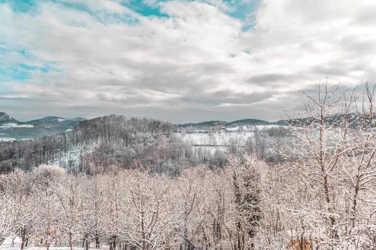Apartmani LUNIJA Gornji Milanovac Bagian luar foto