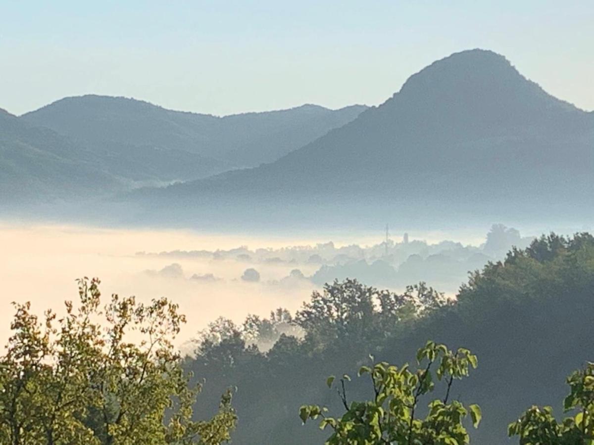 Apartmani LUNIJA Gornji Milanovac Bagian luar foto