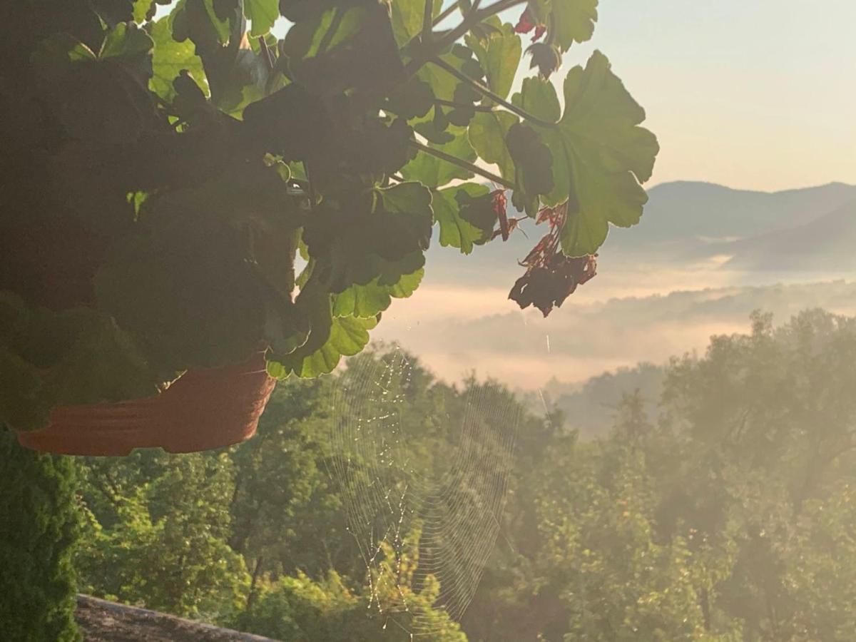 Apartmani LUNIJA Gornji Milanovac Bagian luar foto