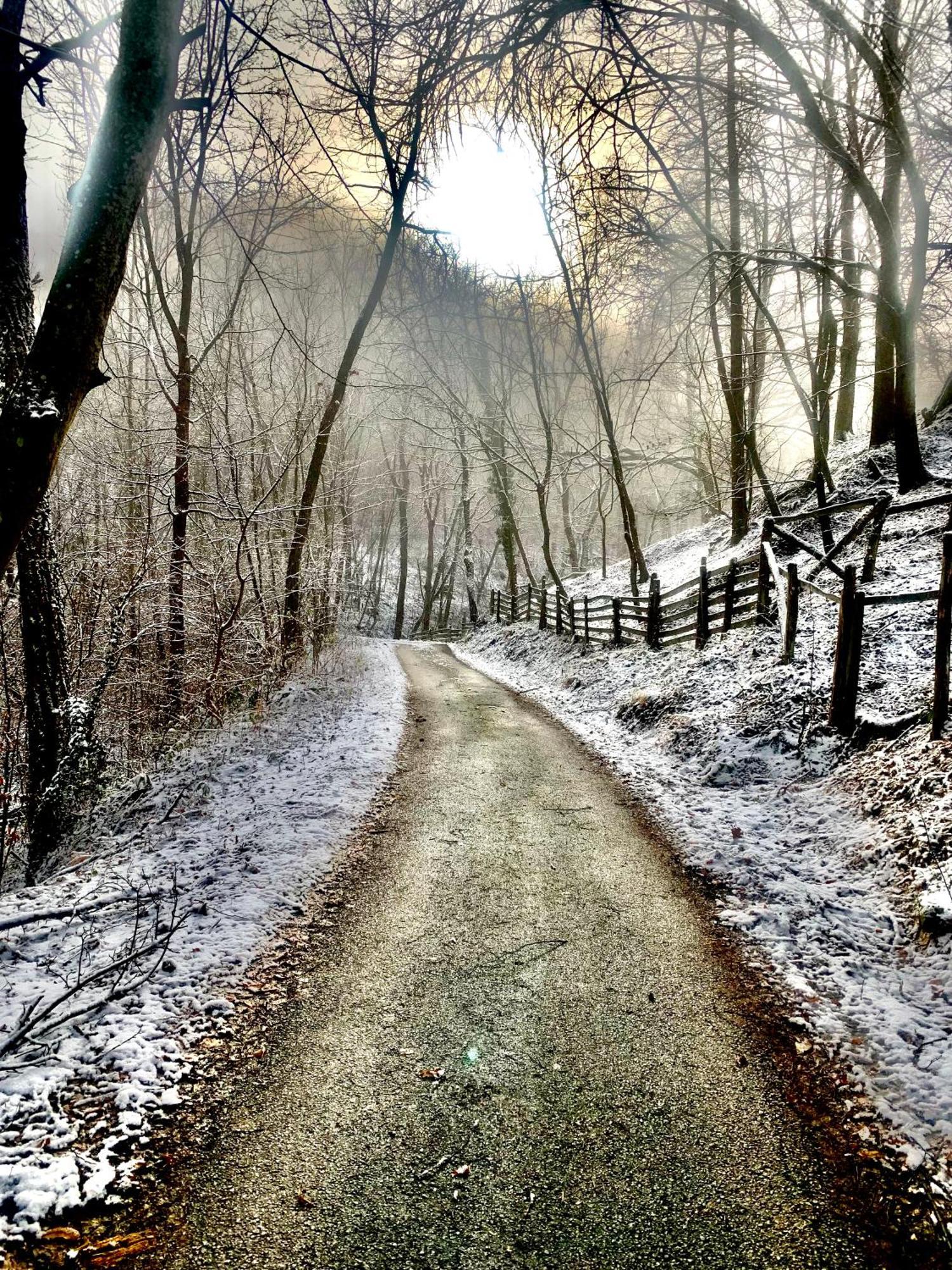 Apartmani LUNIJA Gornji Milanovac Bagian luar foto